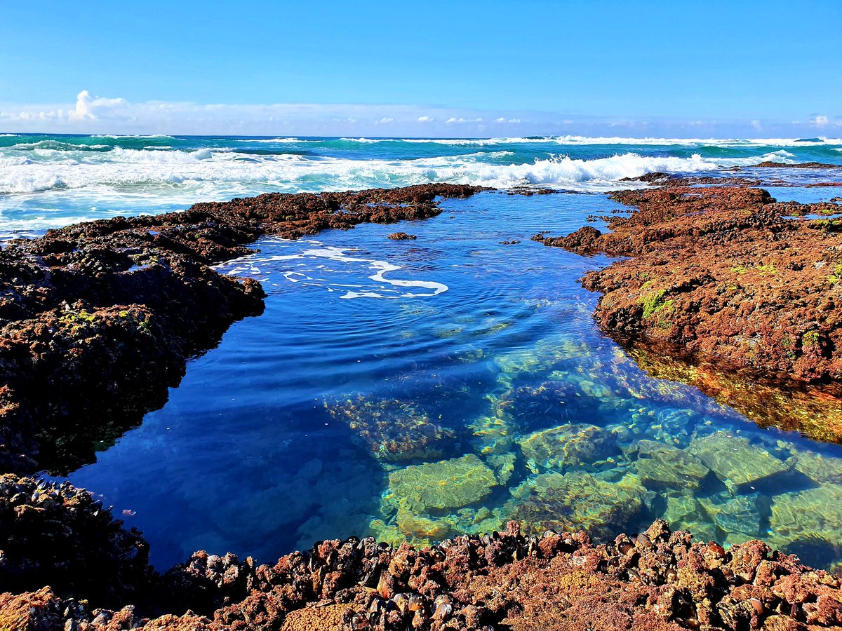 eduoceans's tweet photo. Happy #MPAday 2022. The day we have been working so hard for has arrived. A day to share the benefits of Marine Protected Areas to people and nature. Thank you to everyone! Please join our Twitter chat at 6pm and webinar at 7pm. See you later.  @OliviaSymcox @taraturk1 https://t.co/IlJdzn2Vnj