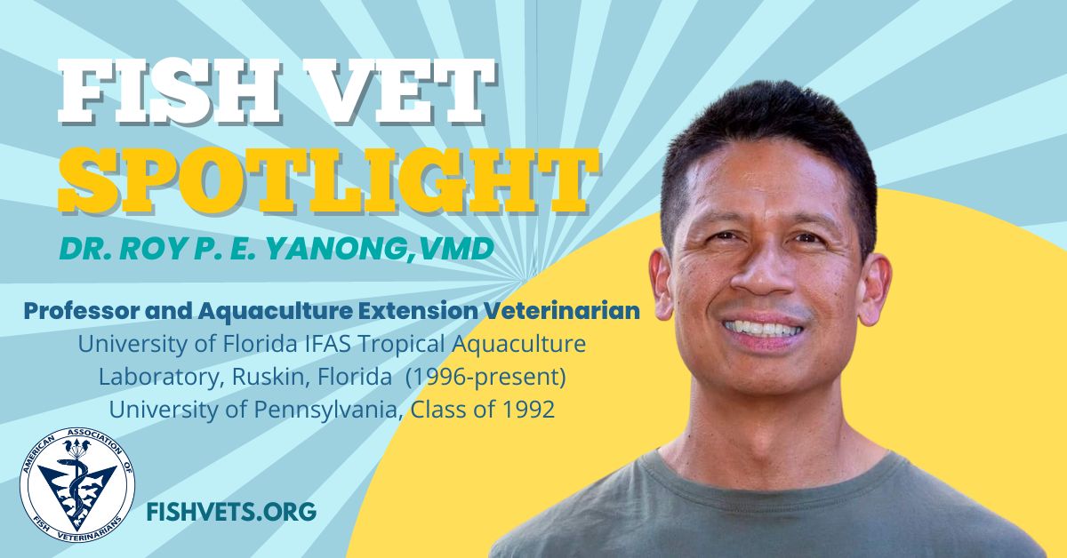fishvets's tweet photo. 🐟Happy AAFV Member Spotlight Monday!!!🐡
See link below to learn about Dr. Roy Yanoung VMD, a tropical ornamental fish vet extraordinaire!  
https://t.co/SGhzY604U6

Happy Monday! Just Keep Swimming! 🐠
#aafv #fishvet #veterinarymedicine #fish #floridaornamentals #membermondays https://t.co/1m0CQRJZZb