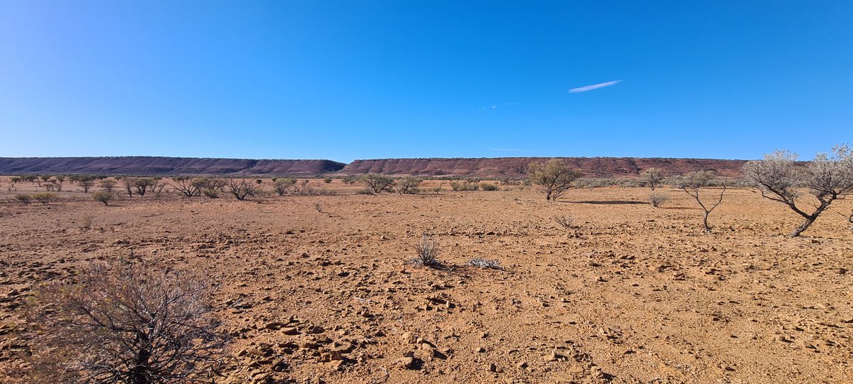 ezzatweets's tweet image. Had a week home from the field, so did some fieldwork! First trip to the #NT was a bloody good time. Checking out #Ordovician #limestones and looking for #meteorites on #TobermoreyStation with @ProfAndyTomkins #outback #geology
