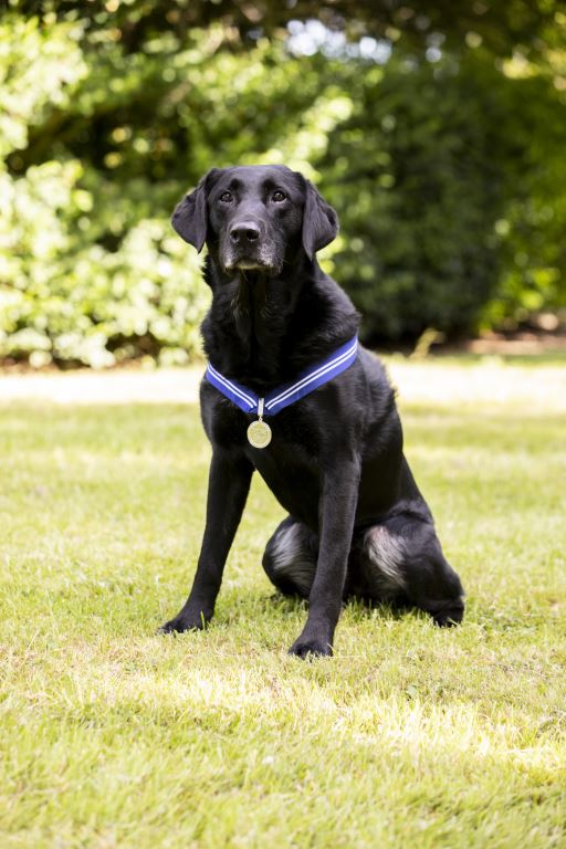 Keyton_S_Park's tweet image. #FlyDog raf.mod.uk/news/articles/…