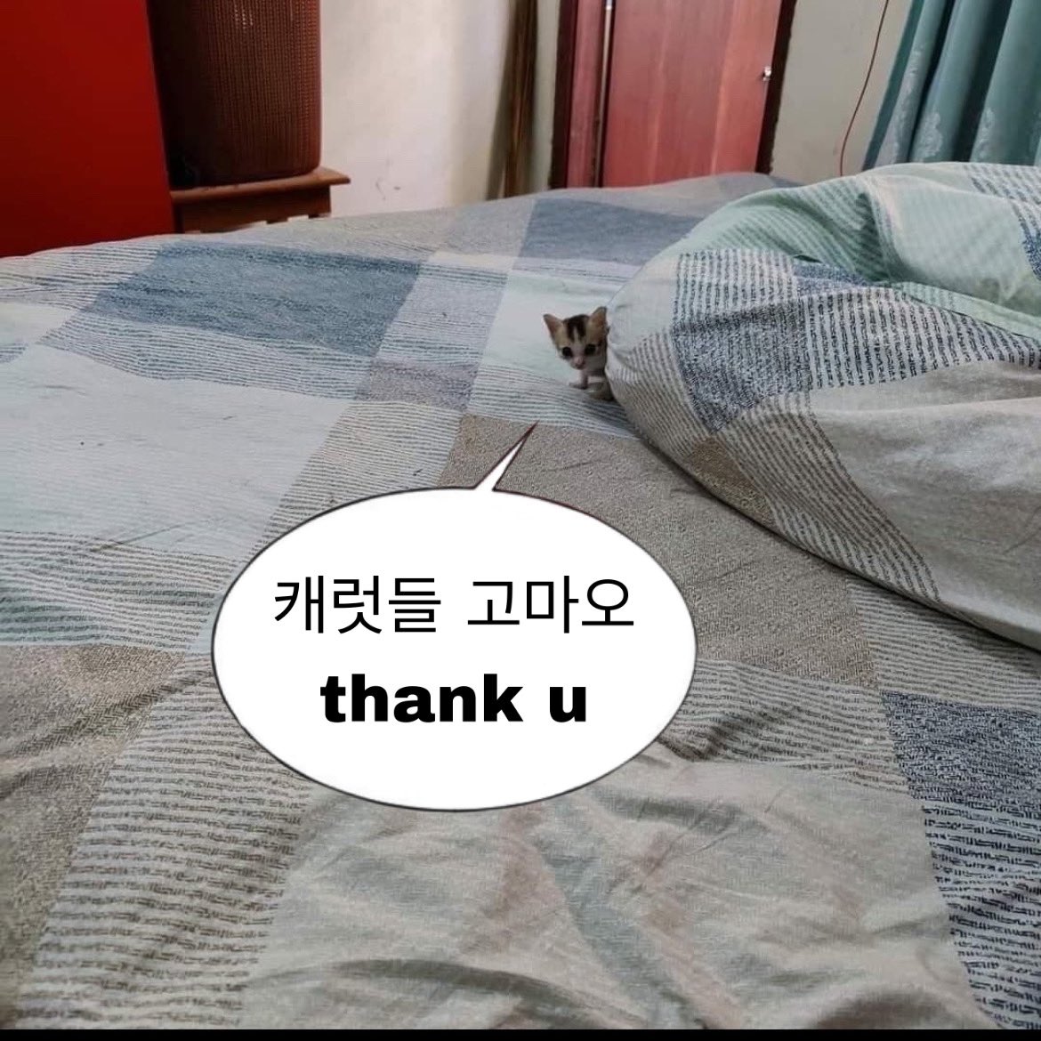 chwe_ae's tweet photo. https://t.co/ConCYRpiNL