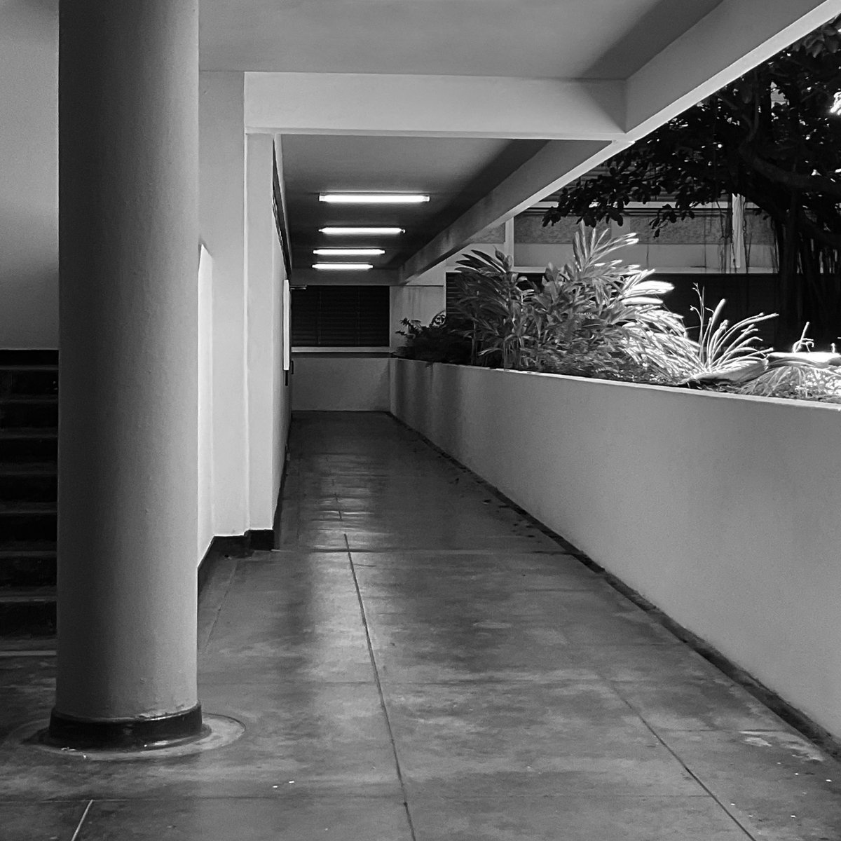 Business Administration and Social Sciences Buildings. University of Puerto Rico. Architect Henry Klumb. Photo Andrea Parga, 2022. Source Research and dissemination project FotoExploratorio #klumb #university #view #visualclues #foto #photo #modernarchitecture #fotoexploratorio