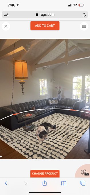 do we like this rug or no https://t.co/cz1GJZffOF