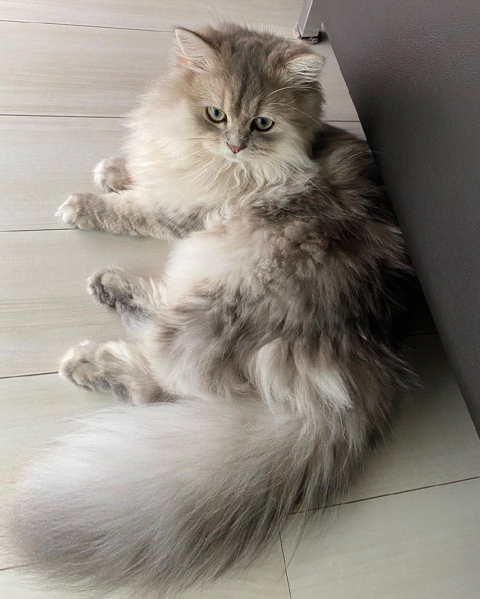 saroon_qadadeh's tweet image. جمالهم مشاءالله سبحان الخالق #سكربت74 #المنخفض_المداري #اليوم_العالمي_للصداقه #صباح_الخير #سبحان_الله #btc