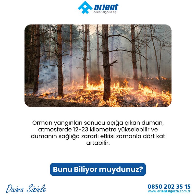 OrientSigorta's tweet photo. Bunları Biliyor Muydunuz?
📞 0850 202 35 15
🖥 https://t.co/cnQ0I6dx1X
#OrientSigorta #DaimaSizinle #Acente #BunlarıBiliyorMuydunuz #YeniBilgi #HapBilgiler https://t.co/YojoFqjCXi