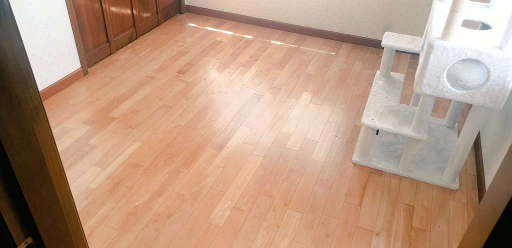 Maya_____k's tweet photo. たまにキャットタワー以外の
表に出ているモノを全部部屋から
出してまっさらにして掃除すると
気持ちいい❗

毎日暑いですね💦
暑苦しい毎日だからこそスッキリ
綺麗な空間にいるといくらか
涼しく感じるのは私だけでしょうか(笑)

#ミニマリスト #掃除 https://t.co/9OgPGYpirj