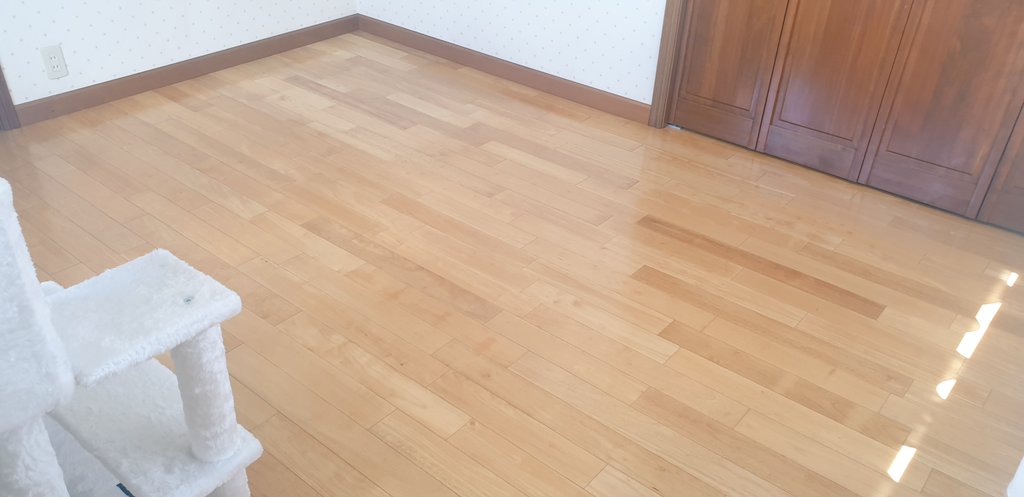 Maya_____k's tweet photo. たまにキャットタワー以外の
表に出ているモノを全部部屋から
出してまっさらにして掃除すると
気持ちいい❗

毎日暑いですね💦
暑苦しい毎日だからこそスッキリ
綺麗な空間にいるといくらか
涼しく感じるのは私だけでしょうか(笑)

#ミニマリスト #掃除 https://t.co/9OgPGYpirj