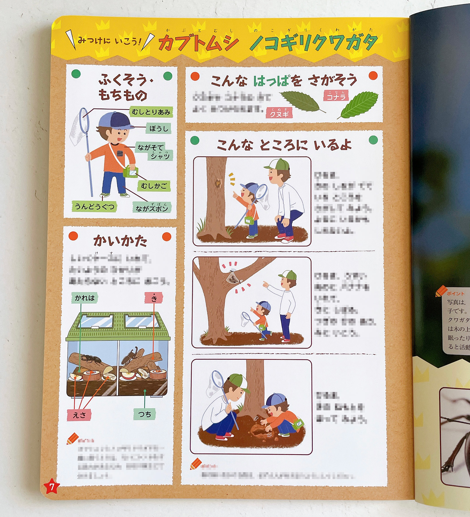 志月様 オーダーページ Www Vanwertfamilyphysicians Com