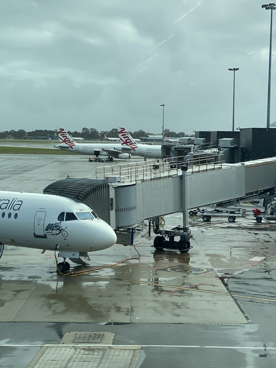 TexanMeg's tweet image. First time leaving the state since March ‘20!!! 

So excited to head to Sydney for #AWAPAC 👏🏼👏🏼