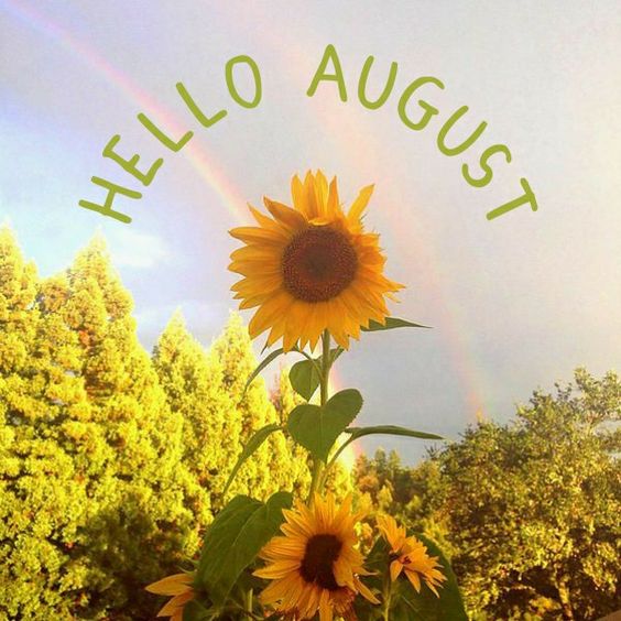 Schrijfs_Els's tweet photo. #haiku #1augustus #zomer 
zomer in mijn hoofd
bloemetjes buiten zetten
kan ook binnenshuis https://t.co/J2Umtz3Uw1