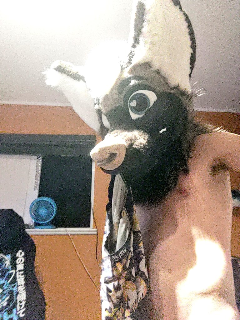 Rusty_At_Night's tweet photo. #furry #fursuit #furrynfsw #furryyiff do I look good https://t.co/5n4GMoLBej
