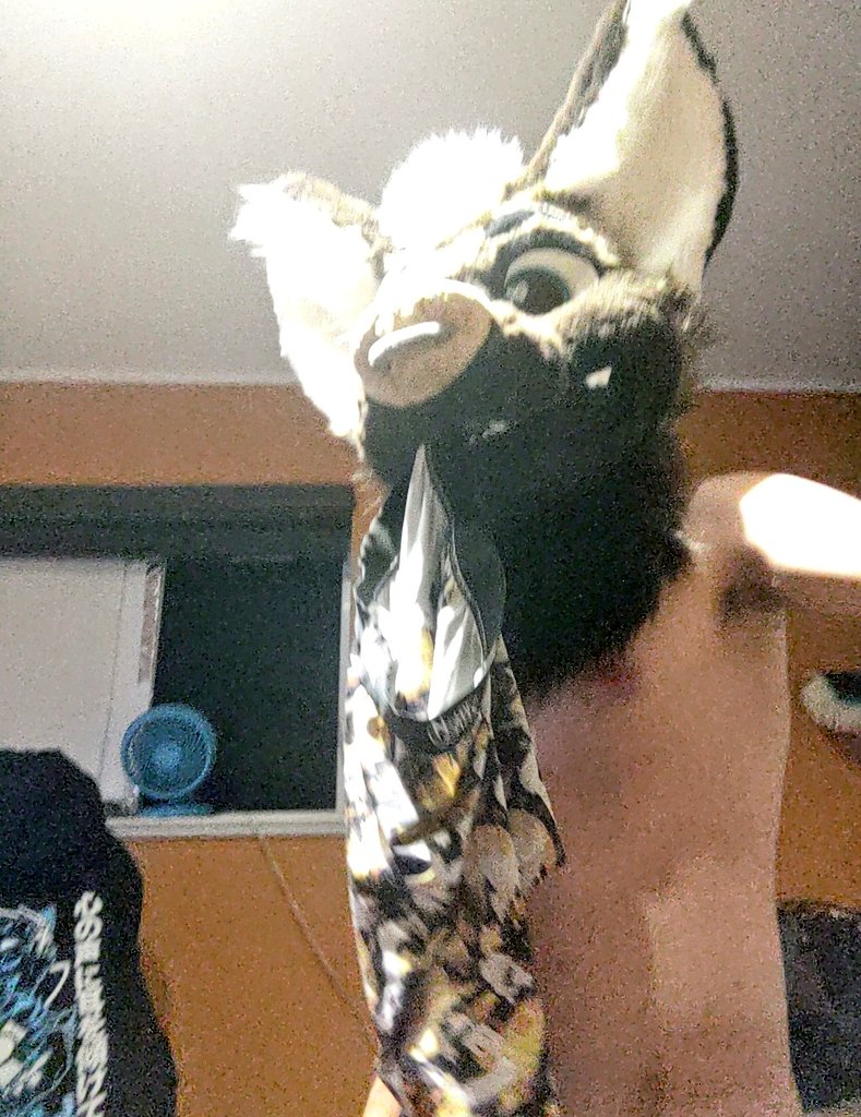 Rusty_At_Night's tweet photo. #furry #fursuit #furrynfsw #furryyiff do I look good https://t.co/5n4GMoLBej