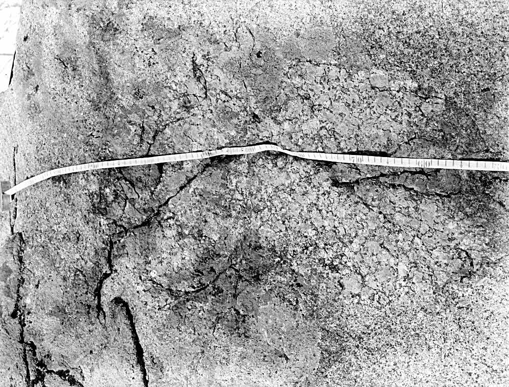 GeoPhotoBot tweet media