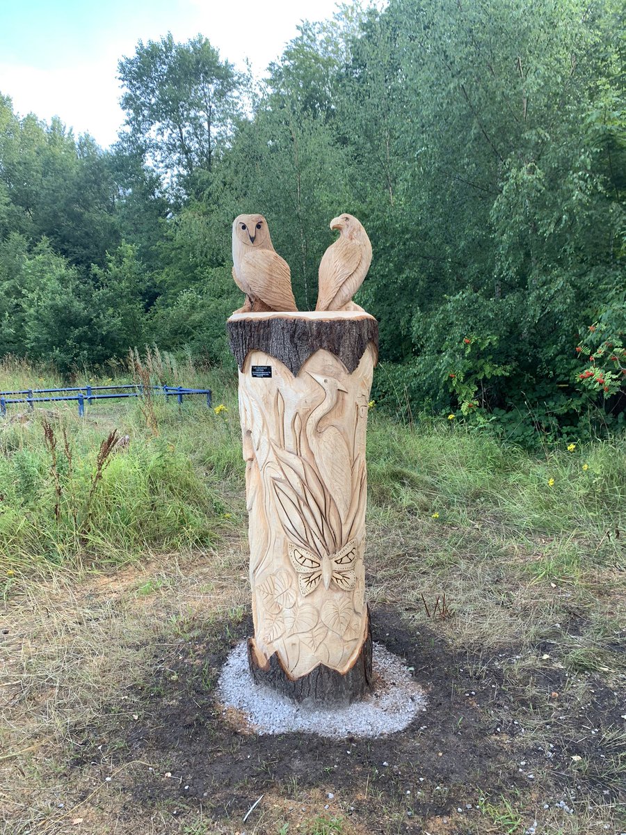 Getting my steps in whilst walking to the tram noticing new Forrest carvings #AHPsActive #GreenerAHPs Come on AHPs @MFT let’s get active @LCO_AHPs @MFT_CSSAHPs @MFTChiefAHP