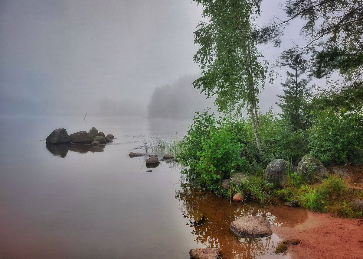 peepux's tweet image. Luonnon taidenäyttelyyn on ilmainen sisäänpääsy. ❤️
#valokuvaus
#kouvola