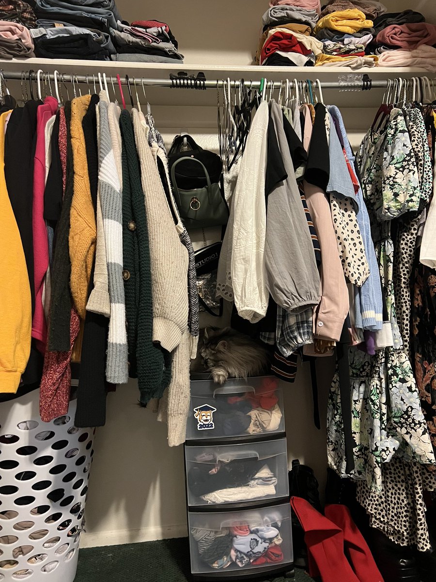 Mellayay's tweet photo. he is the best thing in my closet https://t.co/r7yQAZ2w1Z