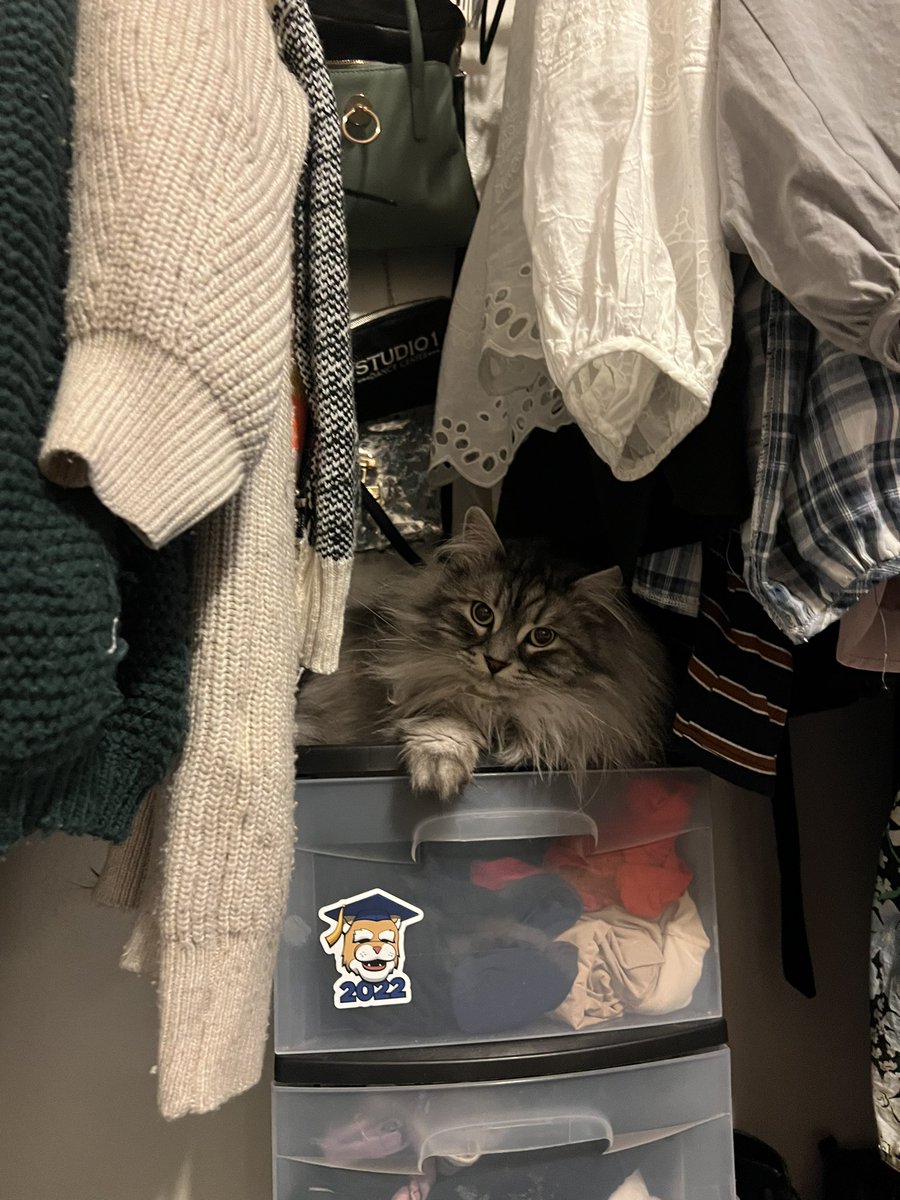 Mellayay's tweet photo. he is the best thing in my closet https://t.co/r7yQAZ2w1Z