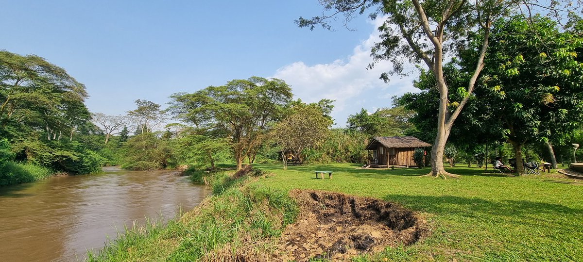 When tranquility is a place....
#peterhogel #bullbushrivercamp #safari #photography #Uganda #photographysafari #ishasha #VisitUganda #ugandauncovered #wildlifeaccommodation #river #riverlife #poolsideoflife #tranquility