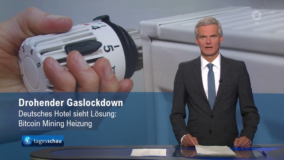 Bitcoin Hotel tweet media