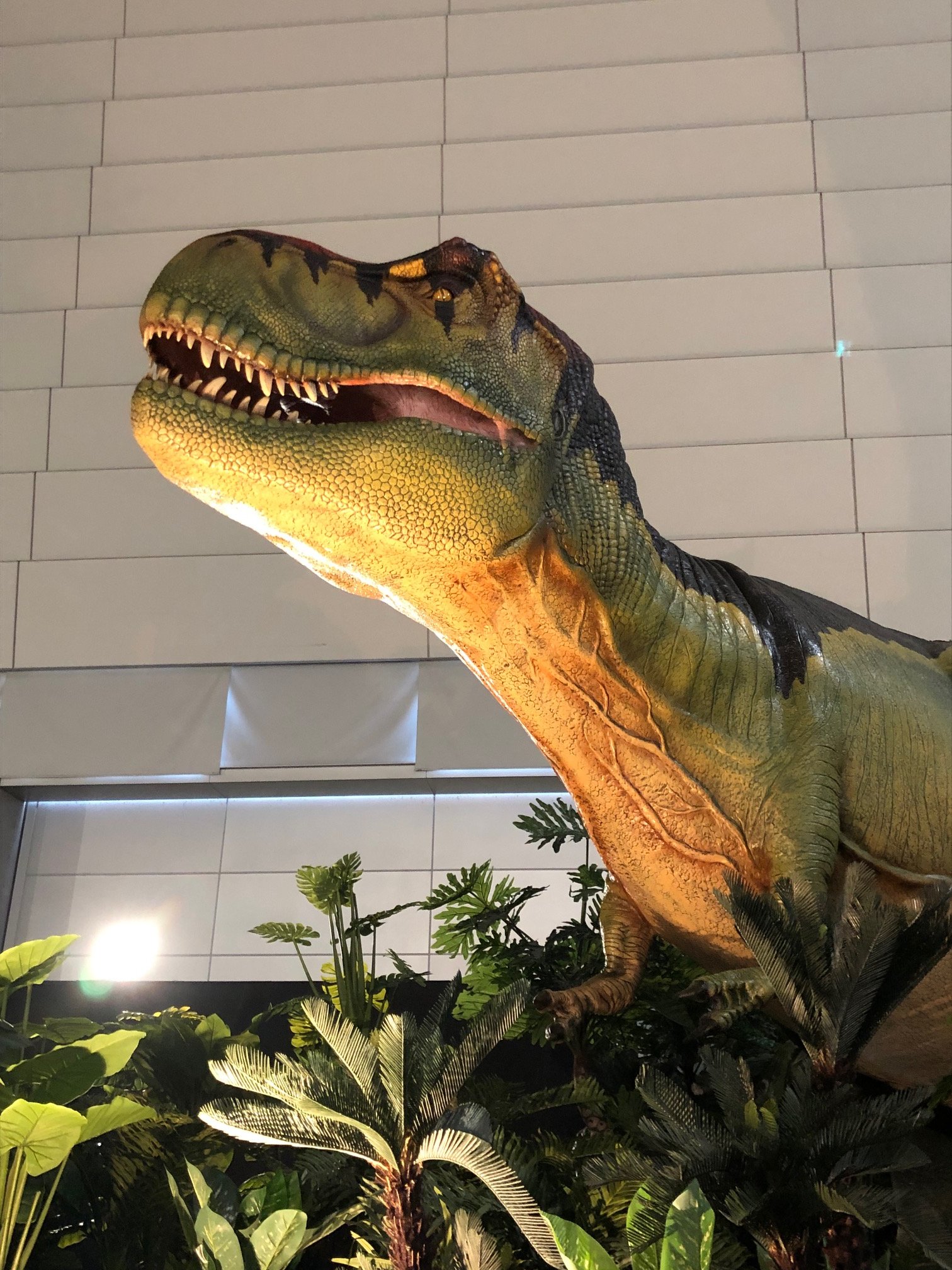 ジュラシック大恐竜展 Twitter Search Twitter