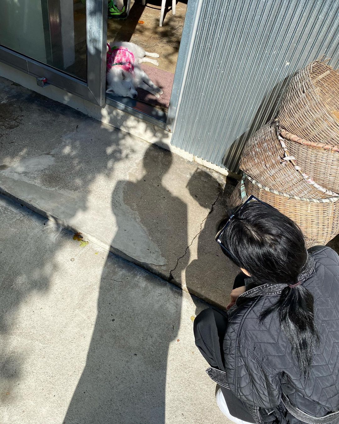 FZDknH4UYAANPyN?format=jpg&name=large