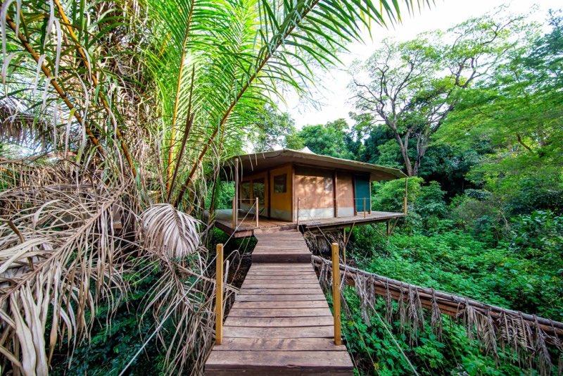 pinkanddaisytr1's tweet photo. Sunrise and treasures
I dream of Africa. Get in touch:info@pinkanddaisy.com #wildlifephotography #wilderness #luxurylifestyle #luxurylife #magicalkenya #hakunamatata #luxuryliving #luxurylodge #coupletravel #familytravel #familytrip #wanderlust #wanderer #privatelyguided #advent https://t.co/2kuoqX5HMB