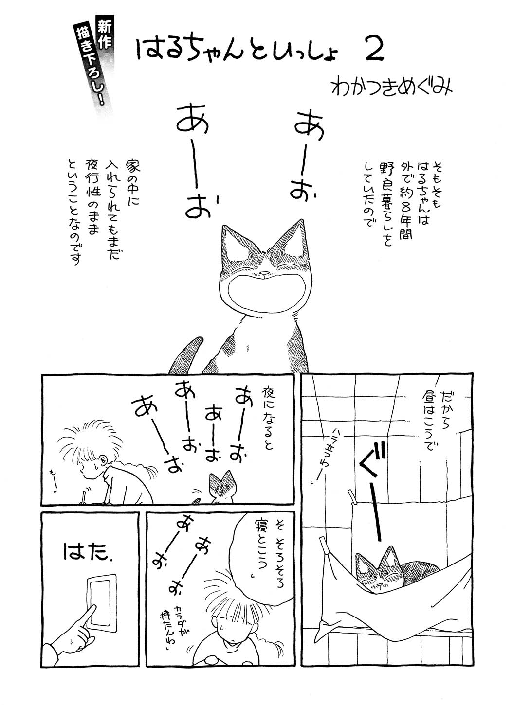 わかつきめぐみ Wakatsukimegumi Twitter