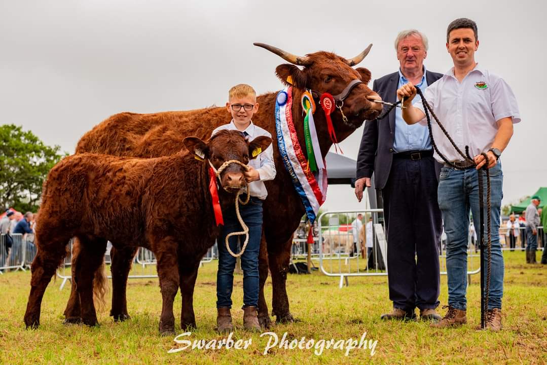 BullBank Seamus Nagle tweet media