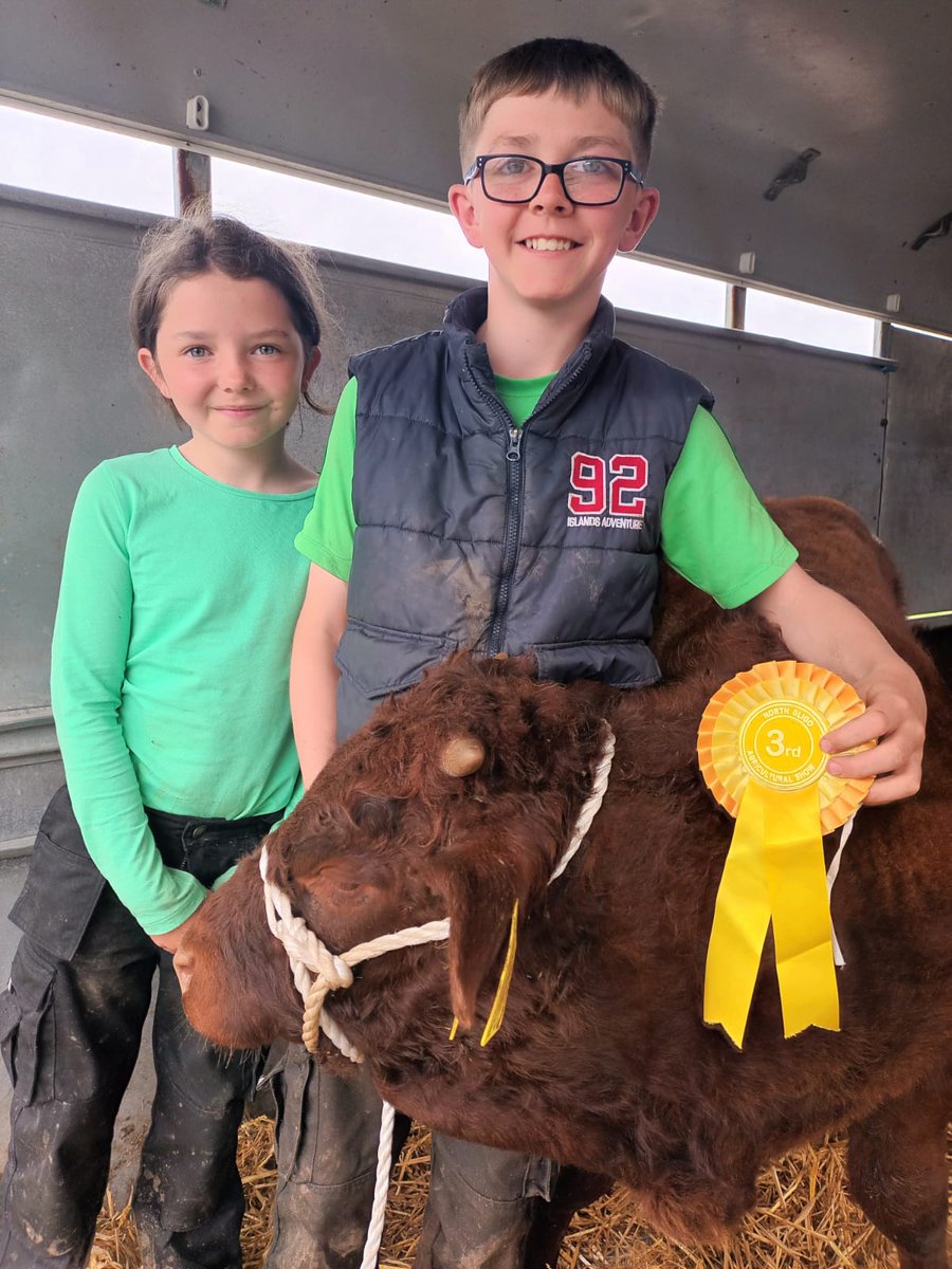 BullBank Seamus Nagle tweet media