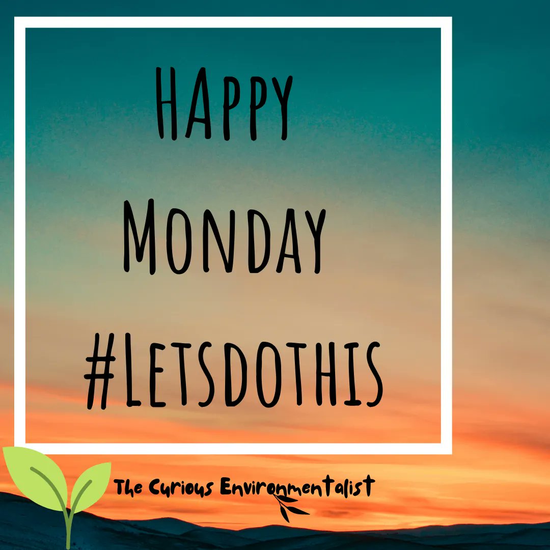 curiousenviron's tweet photo. What are your goals for the week ahead?
How are you going to help the world around you become a better place for us all?
#HappyMonday #TakeOnTheWeek #YouGotThis #MondayMotivation https://t.co/dArGKSD8NG