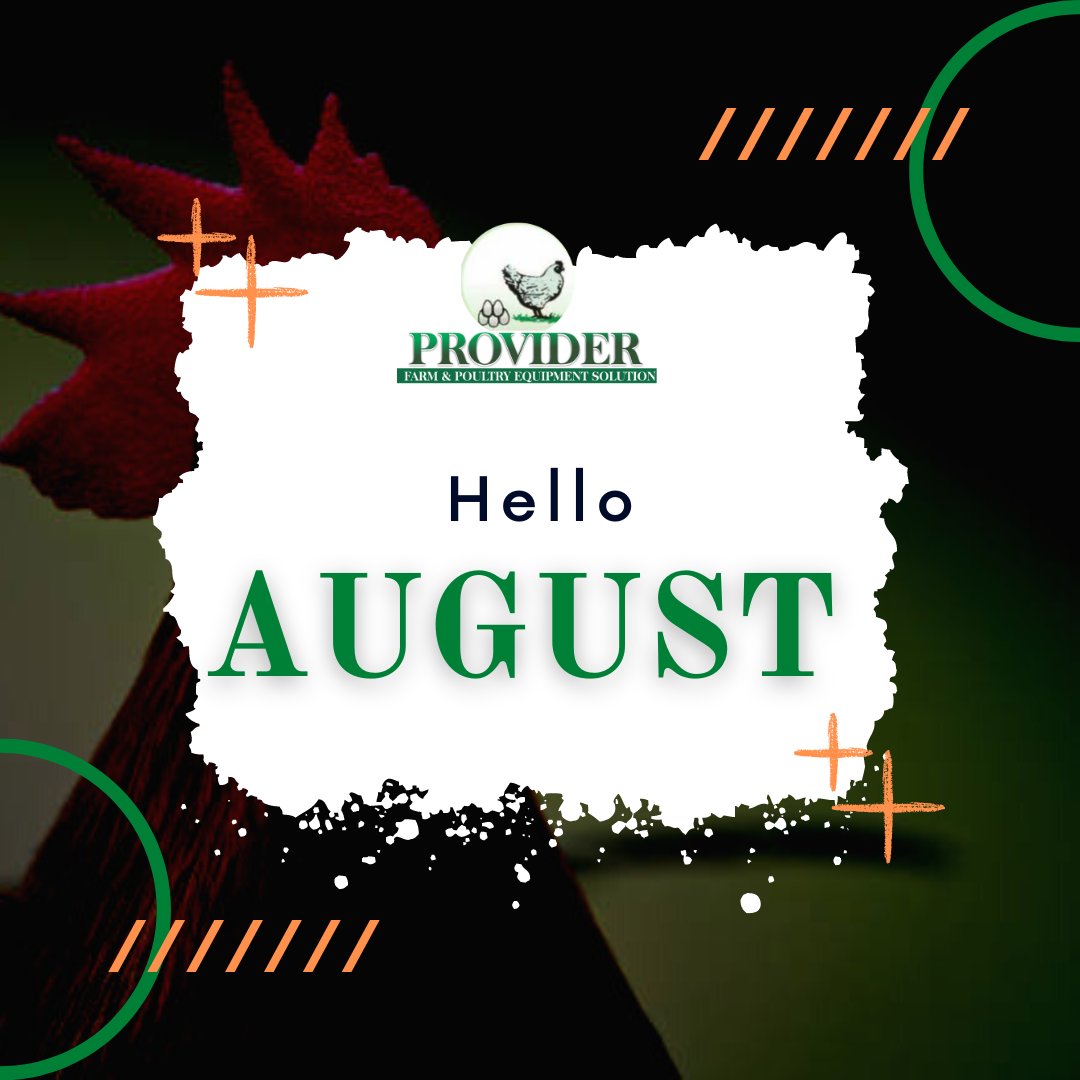 Providerfarmng's tweet photo. Hello August!

We wish you a fruitful new month! 
Let's begin the month on a high note, 
Send in your Farm and Poultry Equipment order now!

#ProviderFarm #equipment #Farmequipment #Poultry #Veterinary #Hatchery #Ibadan #Lagos #Nigeria #Abuja #FarmLife #agriculture #farming https://t.co/RHGsoUyZ8X