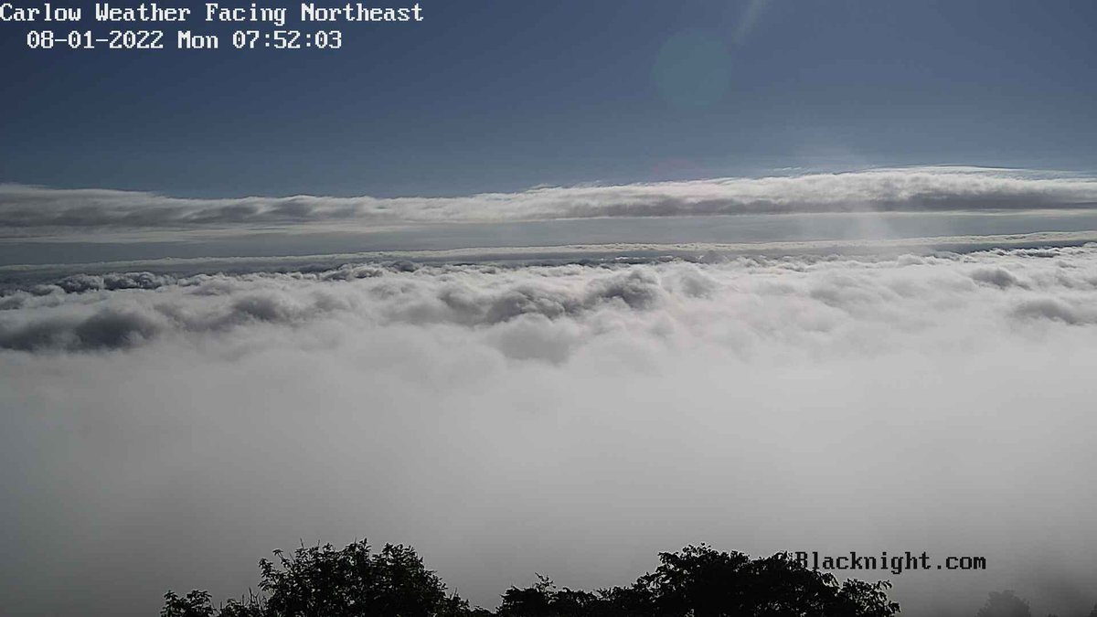 Carlow Weather tweet media