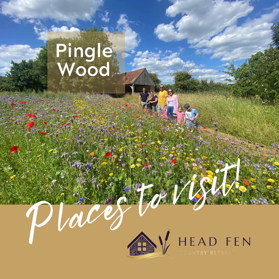 HeadFen's tweet photo. We highly recommend a visit to our local nature reserve on your stay with us. Known locally as 'Pingle Wood' it also contains Myles Meadow and The Holts and is a nature lover's dream just waiting to be explored!#headfencountryretreat #visitely #pinglewood #naturereserve https://t.co/0O8D1JVj2k