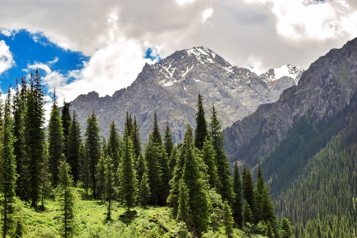 lookforplace's tweet photo. #Tian #Shan #Mountains #Tengri #Tagh #Kazakhstan https://t.co/8wQeJVxCkM