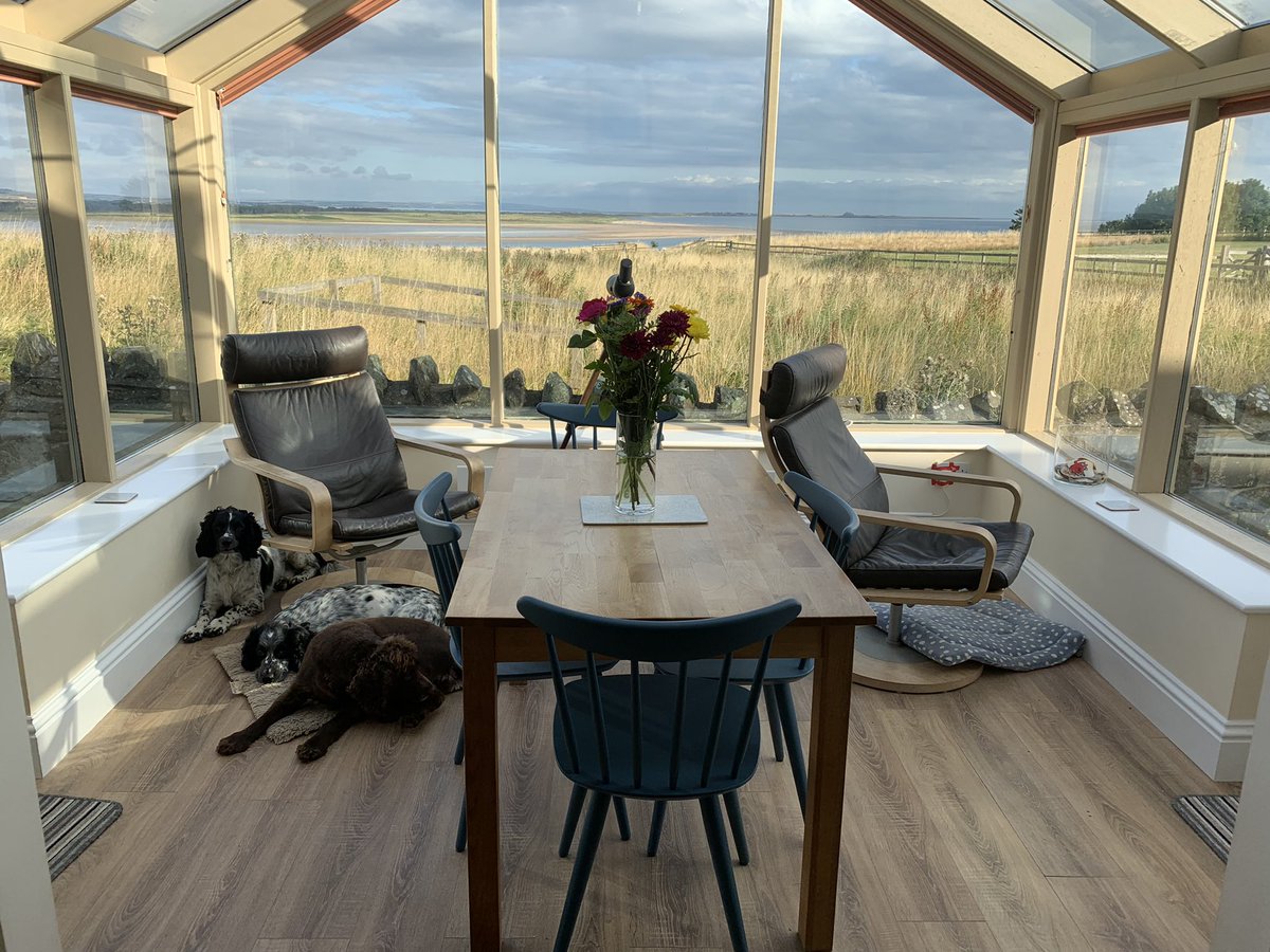 mark_rowbottom's tweet image. Pretty nice view for a Monday 🐾