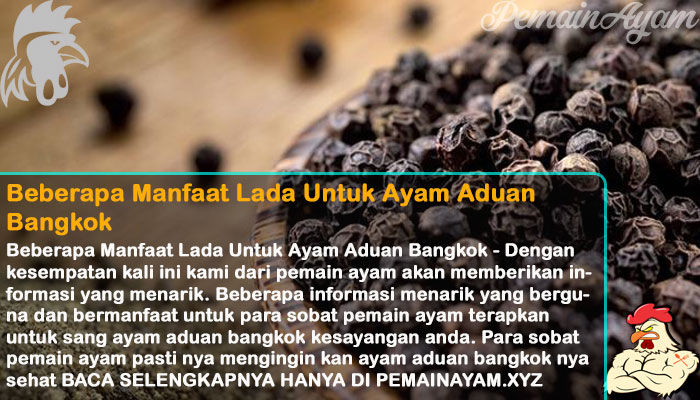 pemainayam's tweet photo. Beberapa Manfaat Lada Untuk Ayam Aduan Bangkok
Daftar Akun Sabung Ayam Online!! Dapatkan Bonus New Member 10% Langsung!
Min Depo 10Rb
Min WD 25Rb
WA : +62 812 9739 2623
Line : @bolavitacc
Telegram : +62 812-2222-995
#LadaHitam #AduAyam #Bolavita #photography #instatravel #holiday https://t.co/nQBoUD7skU