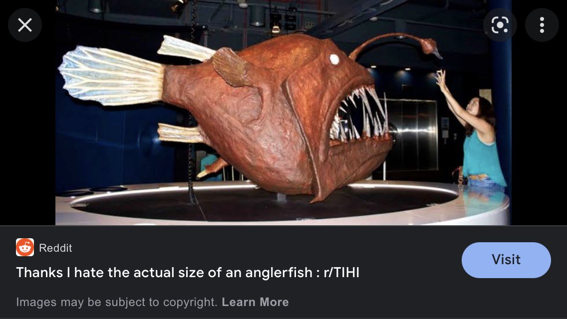 Stinchy OvO🍉🪼 on X: Ok I need to put this off my chest DO NOT BELIEVE  WHAT REDDIT SAYS, Angler fish are not THIS BIG, in fact they are actually a  maximum