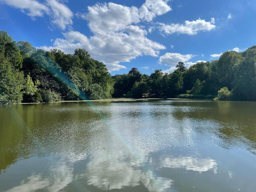 MLaroche_com's tweet photo. 🌳 

#weekend #verdure #foret #etang #climnaturelle #ballade https://t.co/6VNL5HwuGt https://t.co/gJi7aSuHjw
