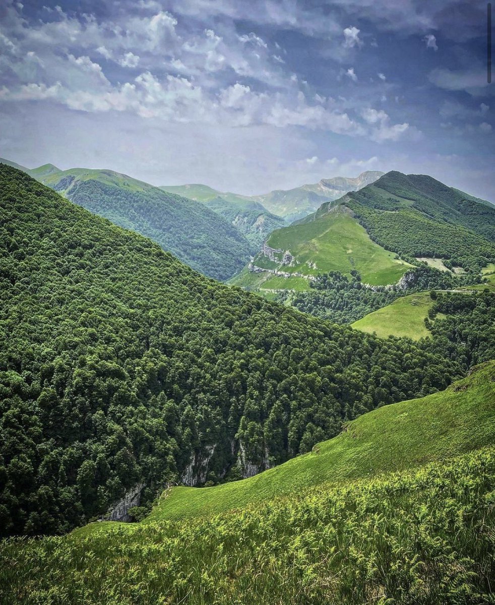 Le Média Positif 🍀 tweet media