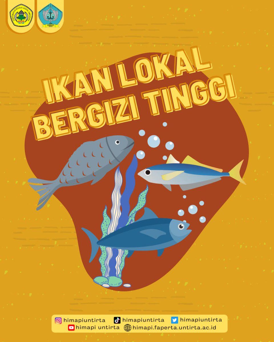 HimapiUntirta's tweet photo. [Ikan Lokal Bergizi Tinggi]

Banyak ikan lokal Indonesia yang tak kalah bergizi dan harganya jauh lebih murah lho. Apa saja diantaranya?

#HimapiUntirta
#KabinetBahteraNawasena
#Periode2022
#Perikanan https://t.co/LOPidcsI7q