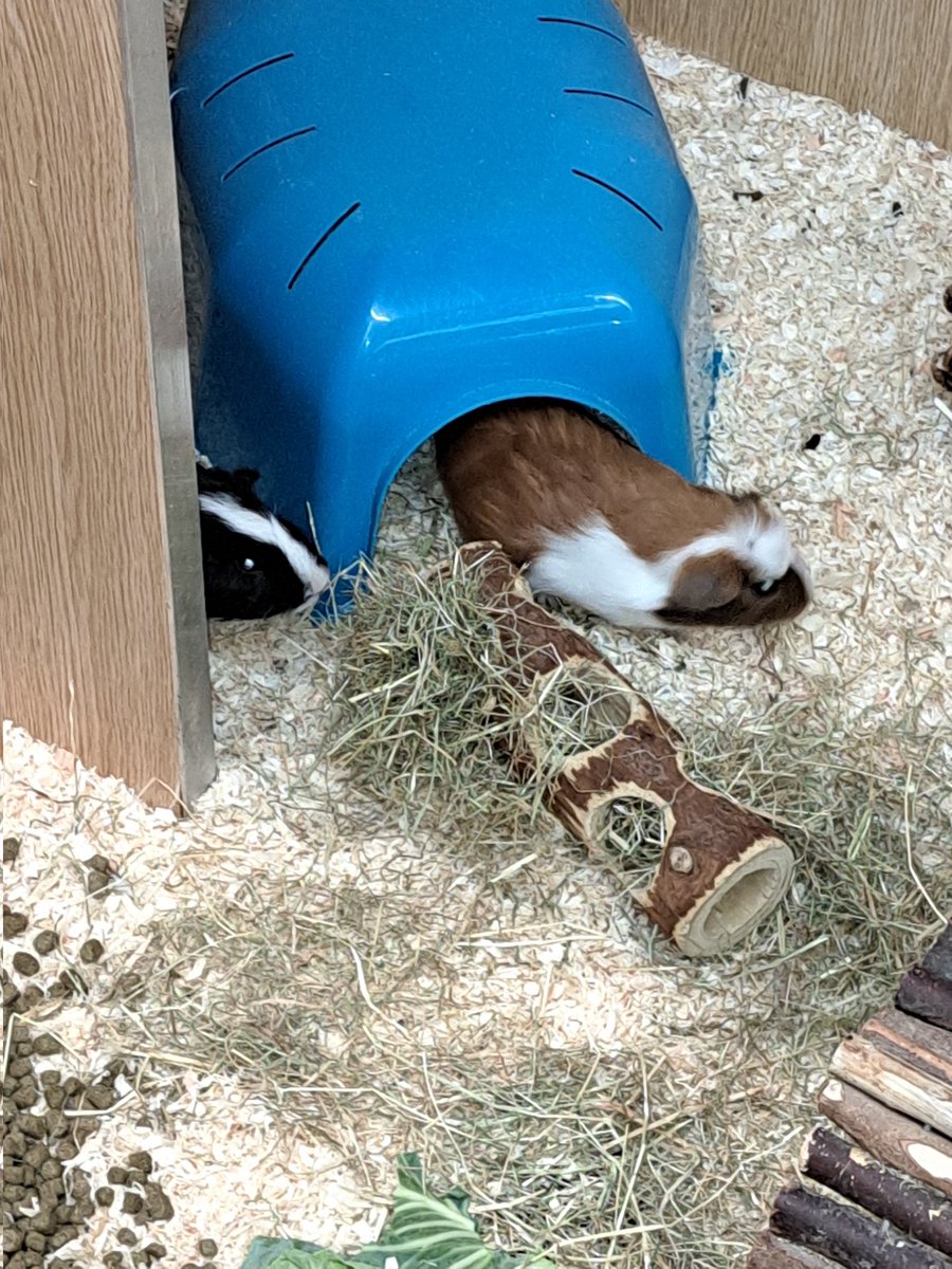 Look at all the gidgets <a href="/chibirobo12/">Chibirobo1</a>