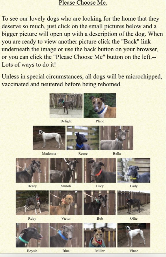 For £180 you are getting a lovely pedigree #Greyhound that’s: neutered, micro-chipped &amp; fully vaccinated. A collar, lead &amp; muzzle. You are also joining the #GRF family with back up &amp; support from owners with yrs of experience. Click please choose me: greyhoundrescuefife.com #Help