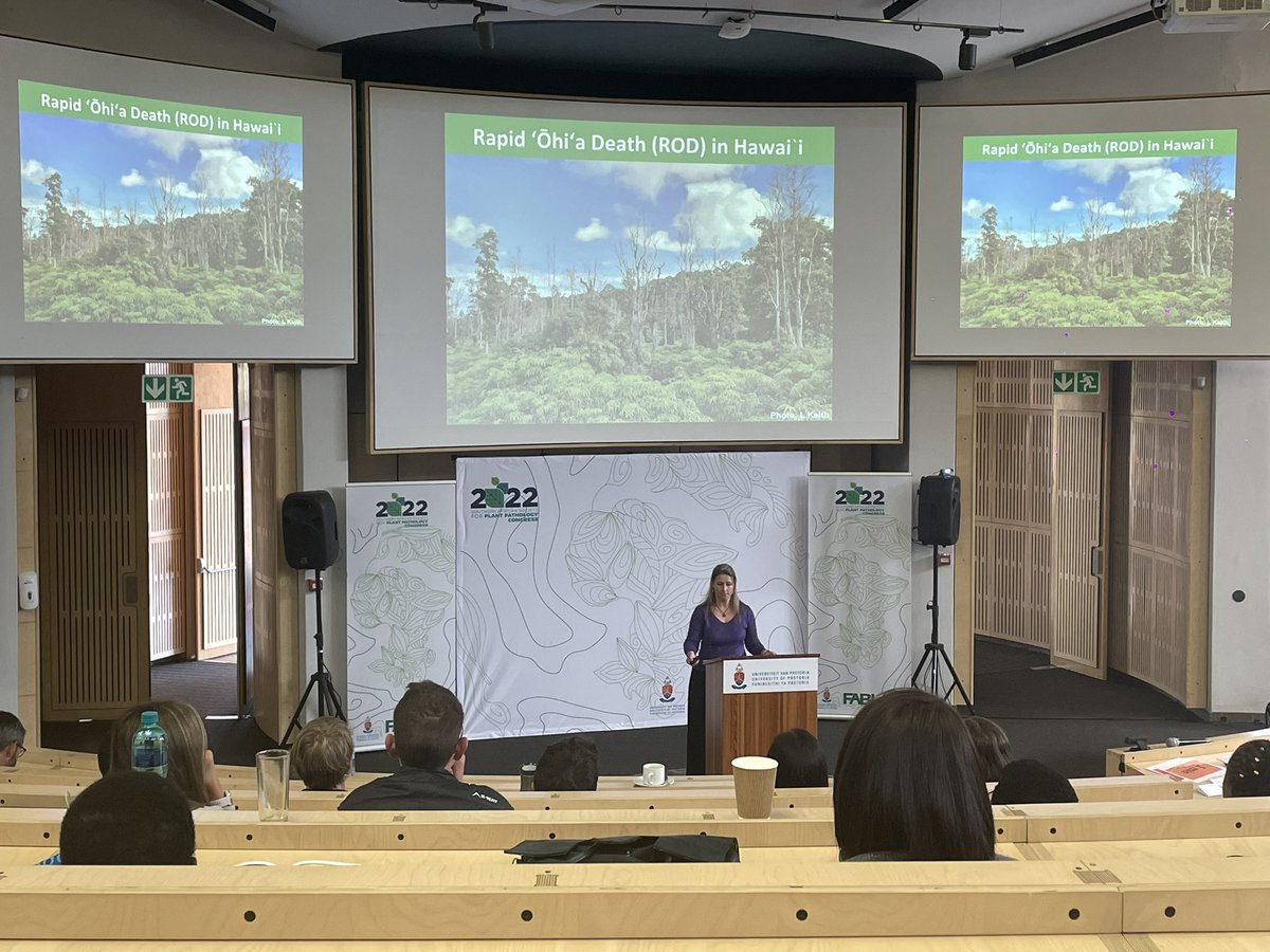🌳Prof Irene Barnes spoke about the devastation caused by Ceratocystis species worldwide, as well as the increasing threat of Ceratocystis wilt to South African forestry and agriculture #SASPP2022 #plantpath <a href="/Fabiteam1/">FABI</a> <a href="/FutureAfricaUP/">Future Africa Platform</a> <a href="/UPTuks/">University of Pretoria</a> <a href="/IreneBarnes19/">Irene Barnes</a>
