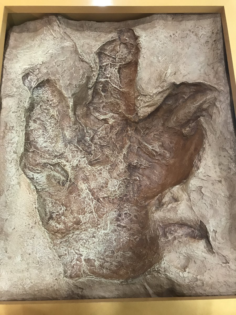 uoichiba (@uoichiba1027) / Posts / X