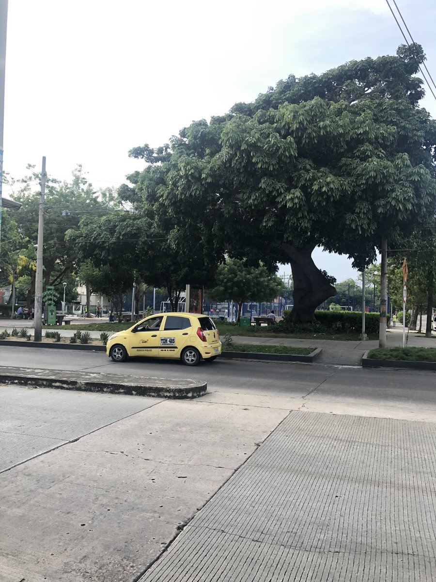 SebasPoloO2's tweet photo. Quien por aquí ? 
Parque bellavista
Barranquilla 
72 con 60 https://t.co/crcUEUguFl