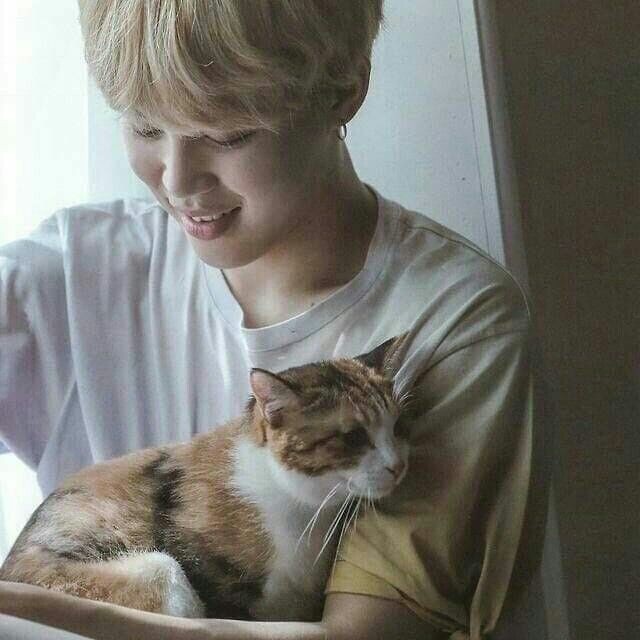 95yjbest's tweet photo. 🐱🐶 https://t.co/1IFsdUdrBC