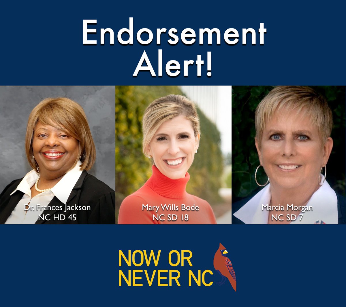 🚨 Endorsements Alert:

We’re on the cusp of announcing our slate of non-alumni endorsements for 2022, but 3 endorsements cannot wait.

✅ Bode ✅ Jackson ✅ Morgan.

A talented triumvirate of longtime friends.

Donate, volunteer, learn more: secure.actblue.com/donate/triumvi…

#RoeYourVote