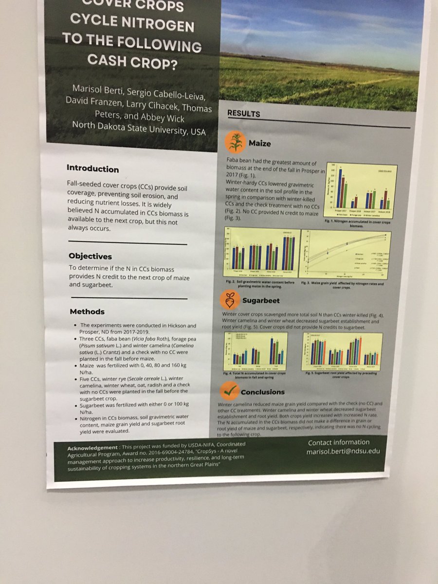 Marisol Berti tweet media