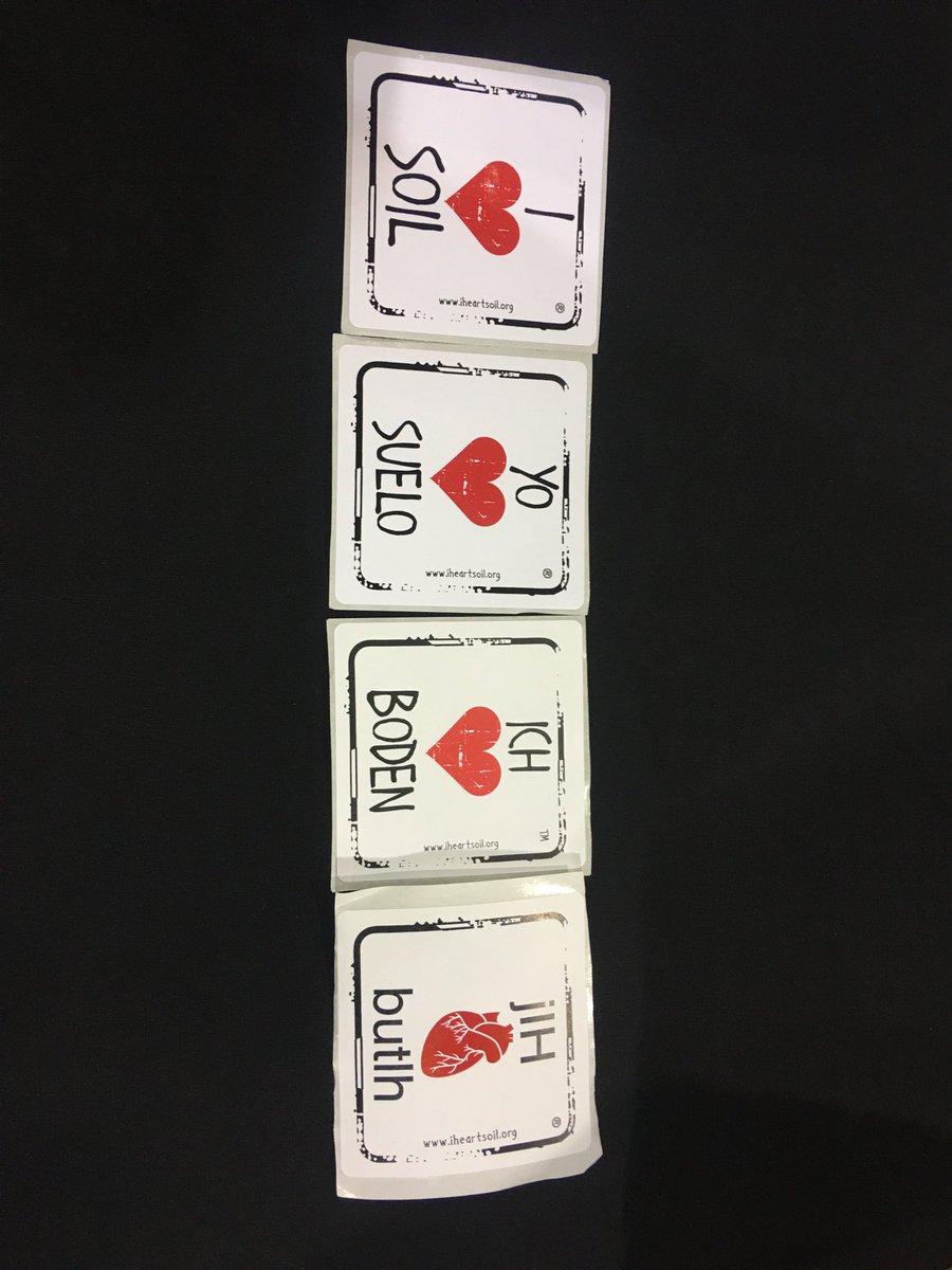 Marisol Berti tweet media