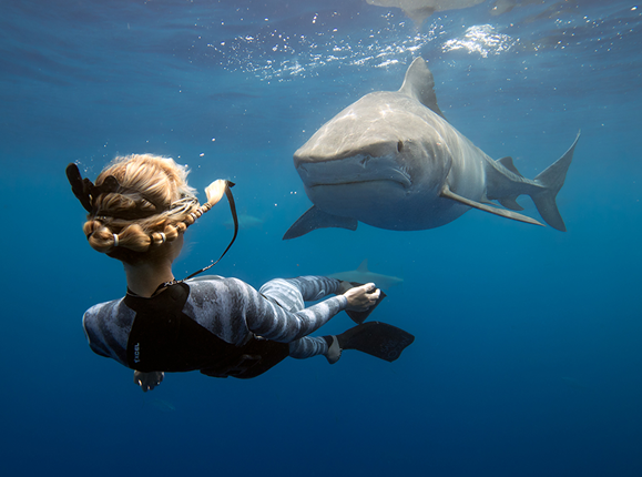 ROBISA's tweet photo. 🦈 La semana del tiburón, Shark Week en inglés, es una fecha señalada en @AquaTech_AxisGO 

🌊 La marca estadounidense ha seleccionado varias imágenes acuáticas de tiburones de sus increíbles fotógrafos 

👀 https://t.co/aot3zWaxyS 

#axisgo #appleiphone #iphone11 https://t.co/ksI01xTfpl